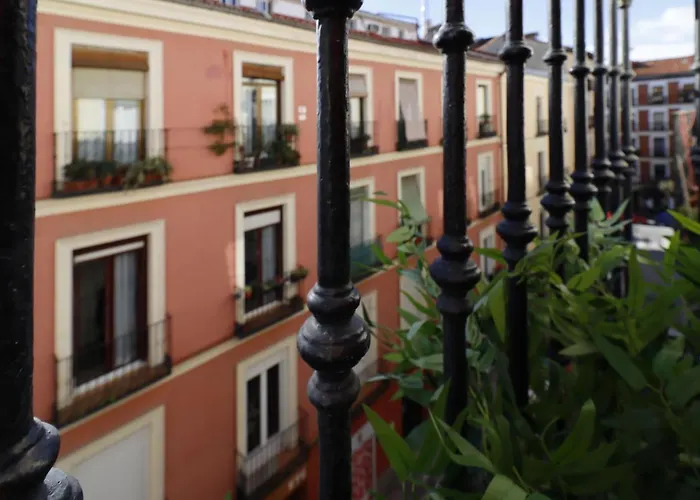Reina Sofia Boutique II